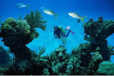 《湮灭之潮》新视频 格挡弹反闪避动作展示